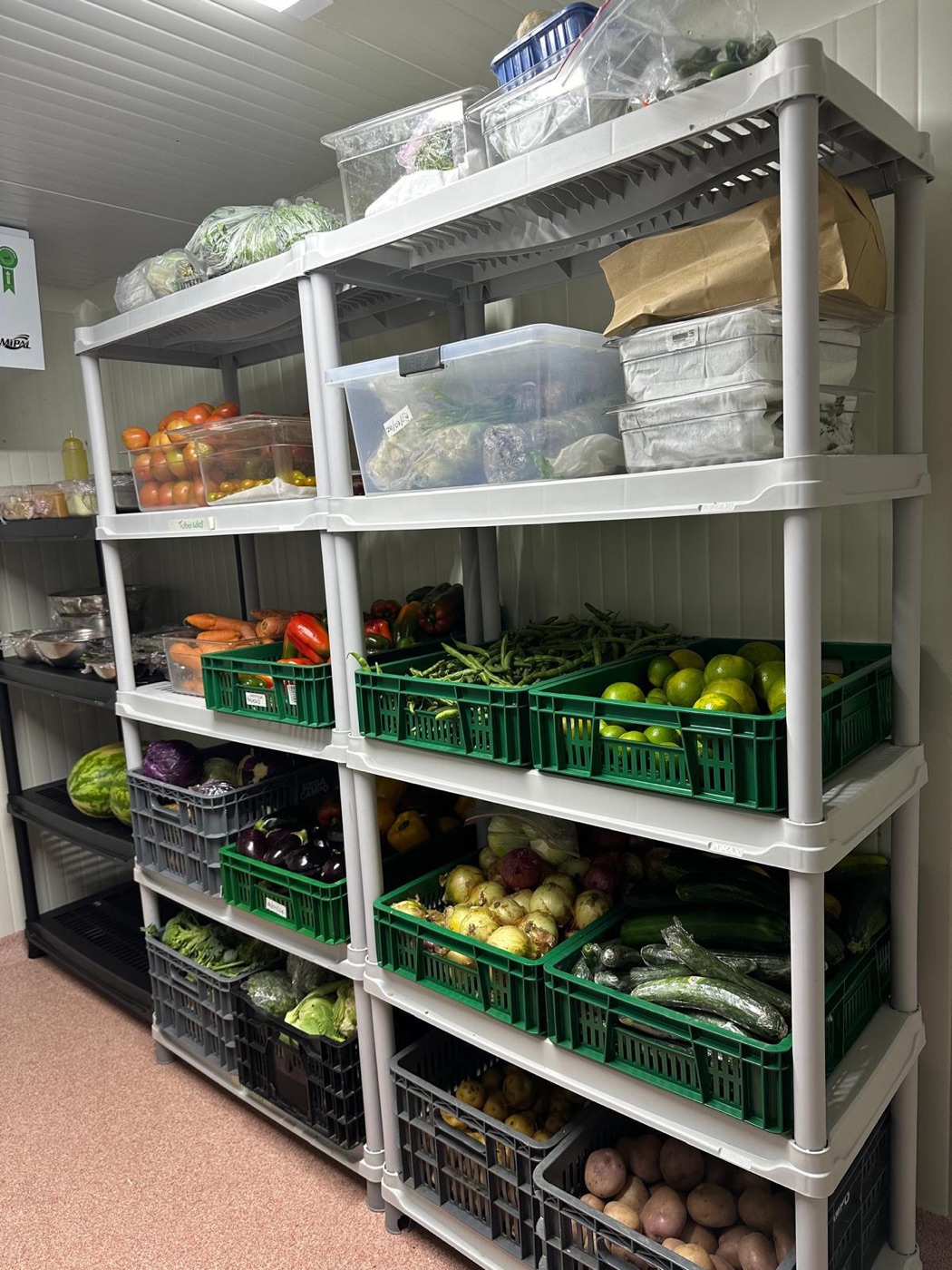 Despensa de ingredientes frescos para meal prep saludable en Miami - Xmeals
